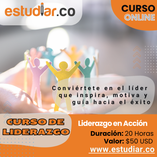 Liderazgo en Acción