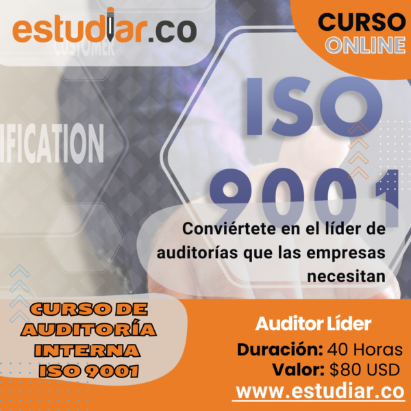 Auditor Líder
