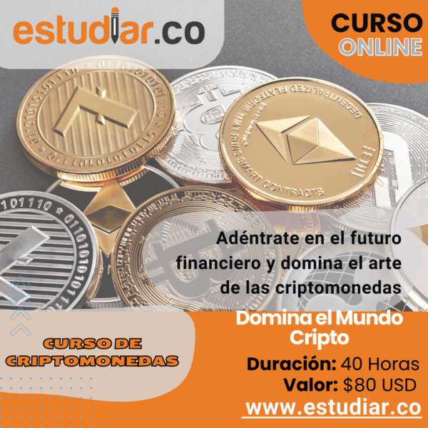 Domina el Mundo Cripto