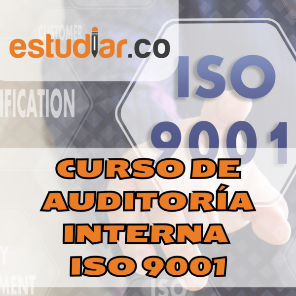 Auditor Líder - Imagen 2